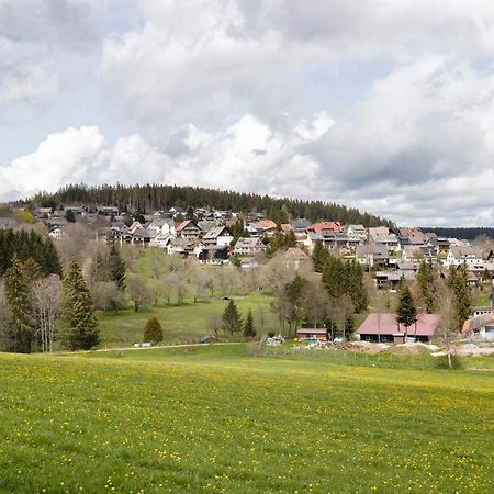 Ferienwohnung Sohnrey Titisee-Neustadt Exterior photo